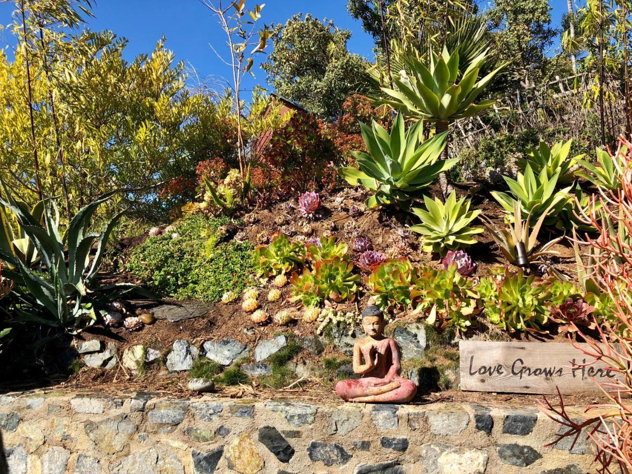 Inn At Moonlight Beach Encinitas Luaran gambar
